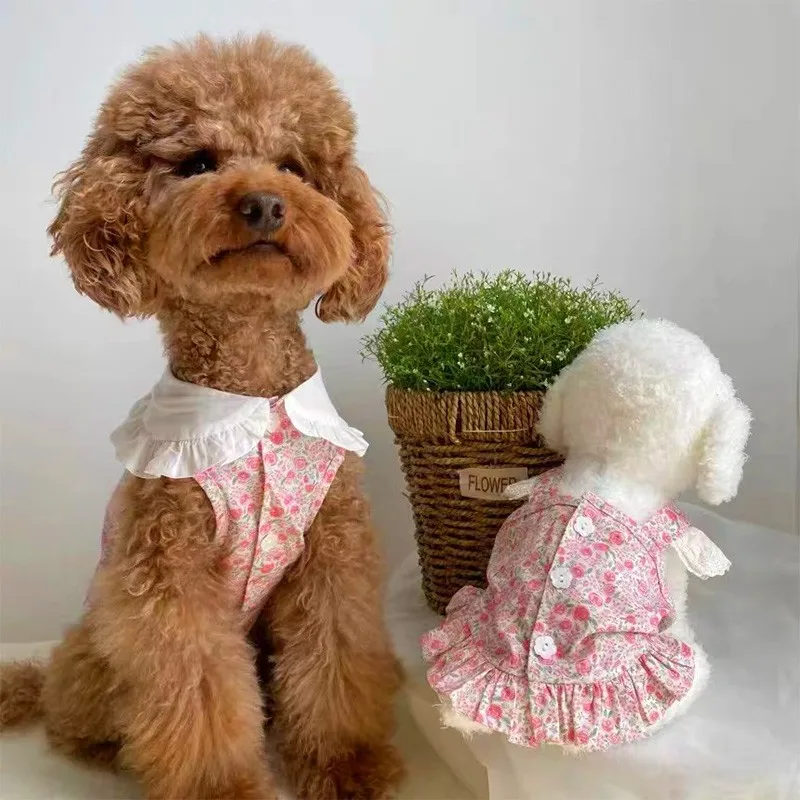Dog skirt 2022 new couple wear puppy dog rose vest small dog cat summer skirt pet suspender clothes
Dog skirt 2022 new couple wear puppy dog rose vest small dog cat summer skirt pet suspender clothes