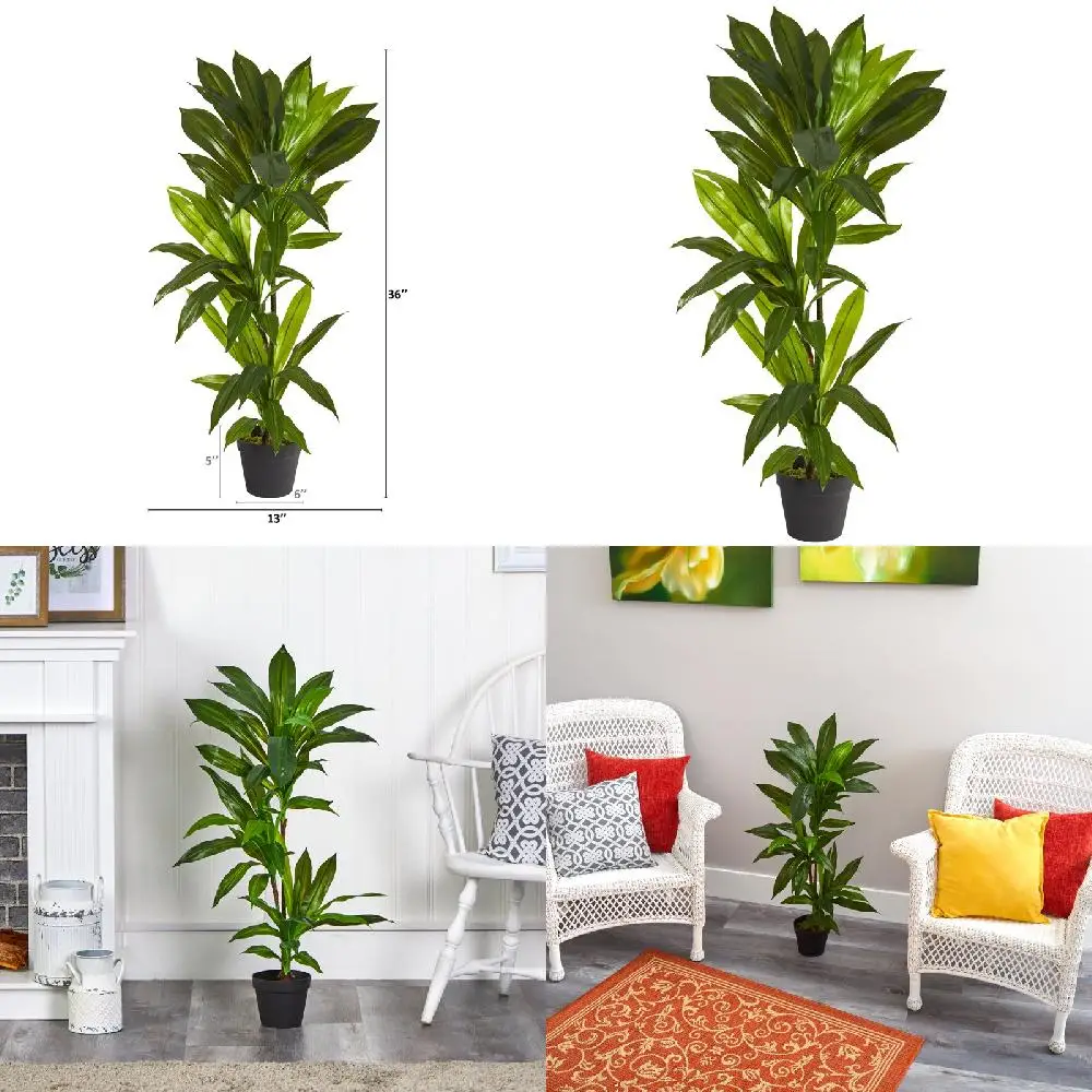 with Sturdy Base, Attractive Premium Quality Decorative Premium Quality Attractive Dracaena Artificial Plant (Real Touch) with S
with Sturdy Base, Attractive Premium Quality Decorative Premium Quality Attractive Dracaena Artificial Plant (Real Touch) with S