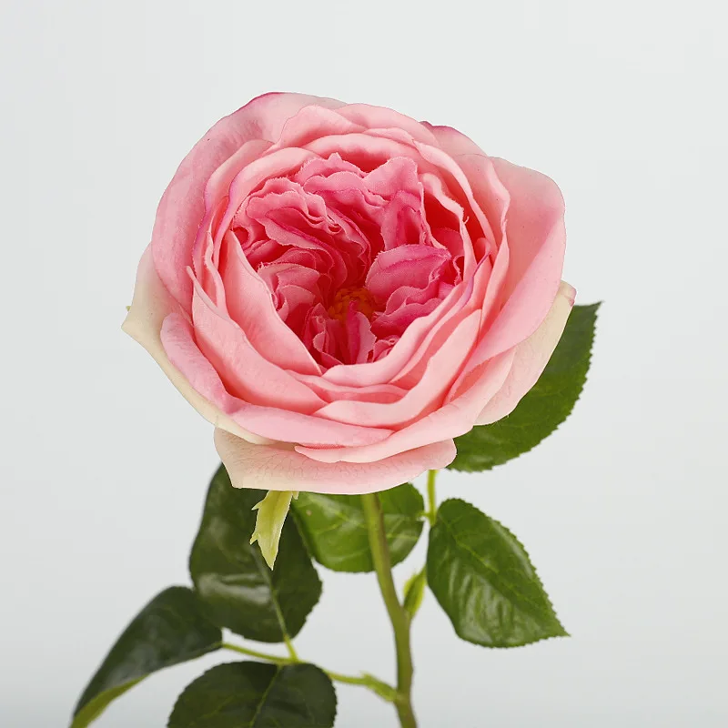Искусственные розы LINANUO Austin Rose 6 шт.
Искусственные розы LINANUO Austin Rose 6 шт.