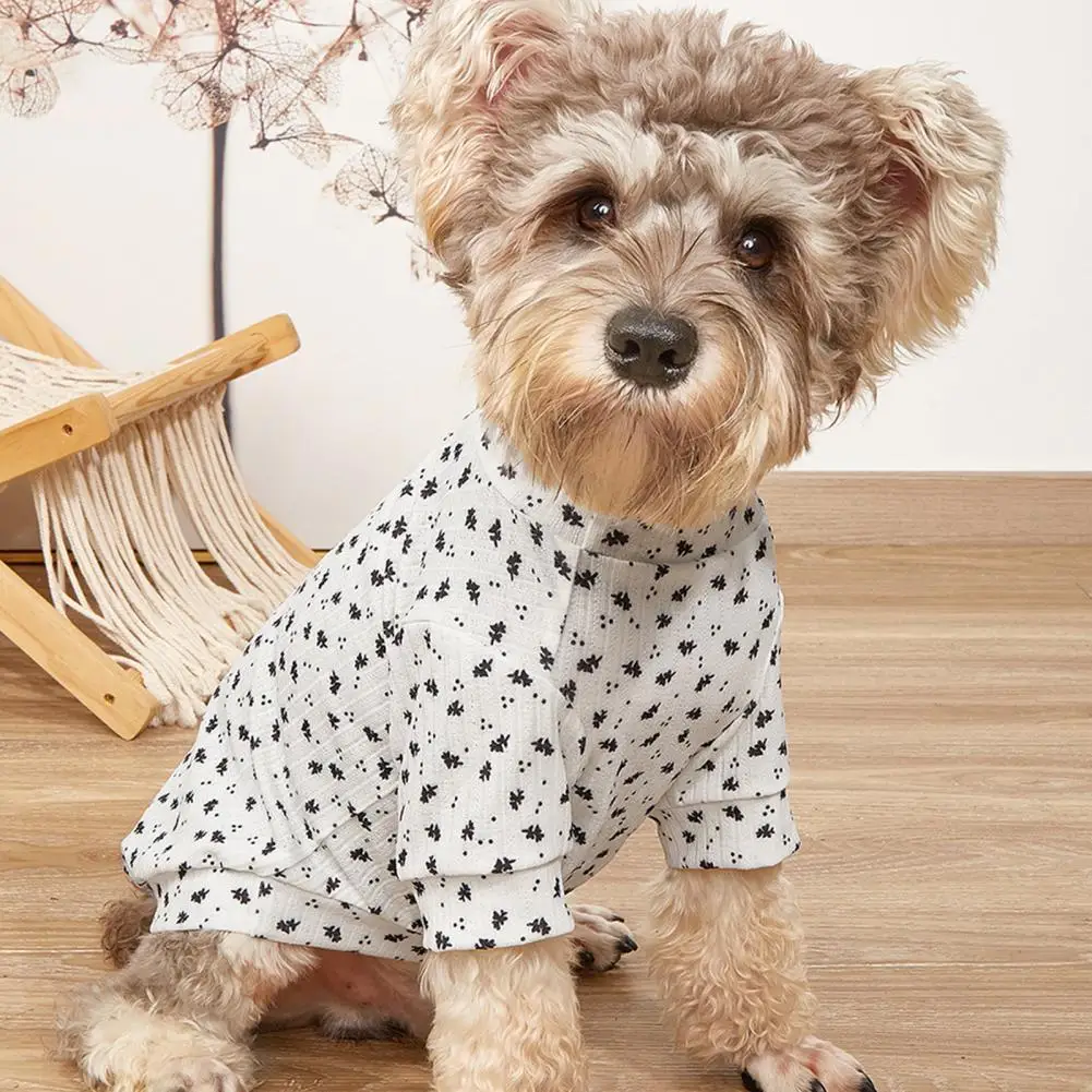 Pet Apparel Chic Mulberries Print Dog T-shirt Easy-wearing Lightweight Pet T-shirt
Pet Apparel Chic Mulberries Print Dog T-shirt Easy-wearing Lightweight Pet T-shirt
