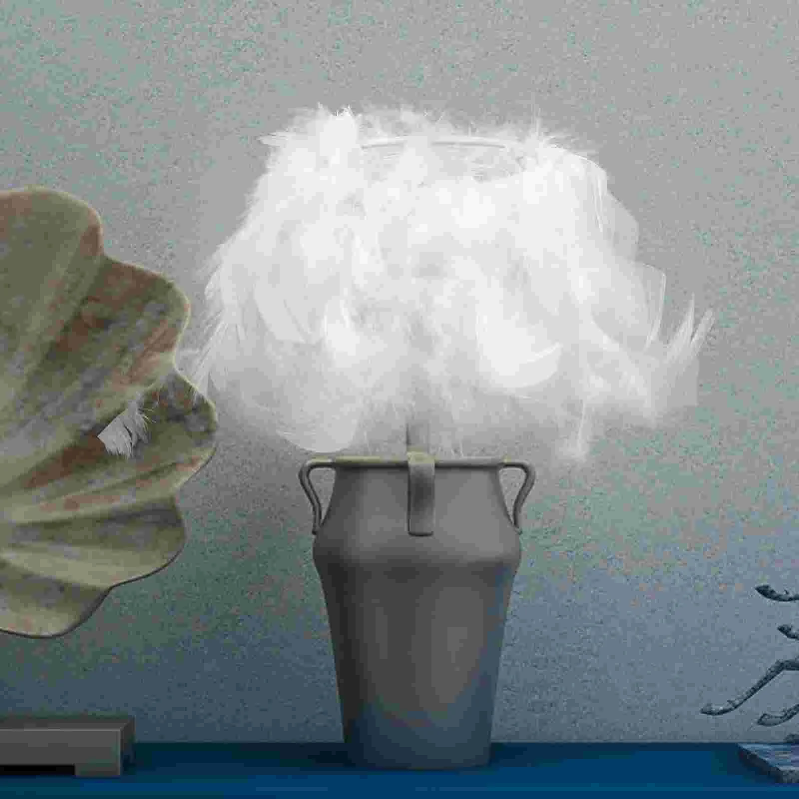Plume Light Cover E27/E14 Lampshade Fluffy Lampshade for Desk Lamps and Floor Lamps
Plume Light Cover E27/E14 Lampshade Fluffy Lampshade for Desk Lamps and Floor Lamps