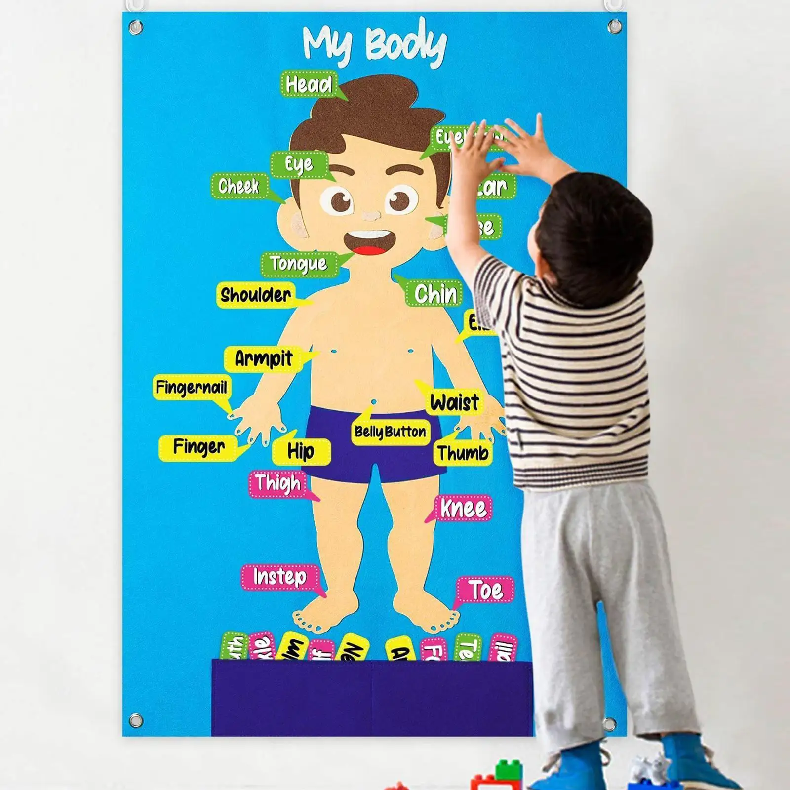 New Craft Felt Board Toddler Toys Montessori Storyboard Pattern Early Decoration Wall Learning Kids Cartoon Toy Farm Body A Y8o1
New Craft Felt Board Toddler Toys Montessori Storyboard Pattern Early Decoration Wall Learning Kids Cartoon Toy Farm Body A Y8o1