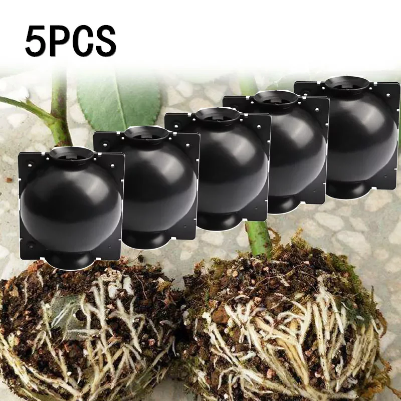 New Plant Grafting Rooting Growing Box Rooting Ball Seeding Case Flower Pots Pouch Container Nursery Box Garden Seeds Root
New Plant Grafting Rooting Growing Box Rooting Ball Seeding Case Flower Pots Pouch Container Nursery Box Garden Seeds Root