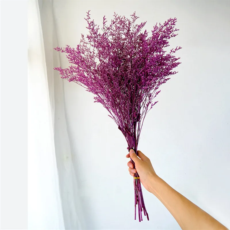 New Arrivals In 2023 Natural Bouquets 90g/lot love Grass Dried Flower About 50cm Flore For Bedroom Wedding office decoration
New Arrivals In 2023 Natural Bouquets 90g/lot love Grass Dried Flower About 50cm Flore For Bedroom Wedding office decoration
