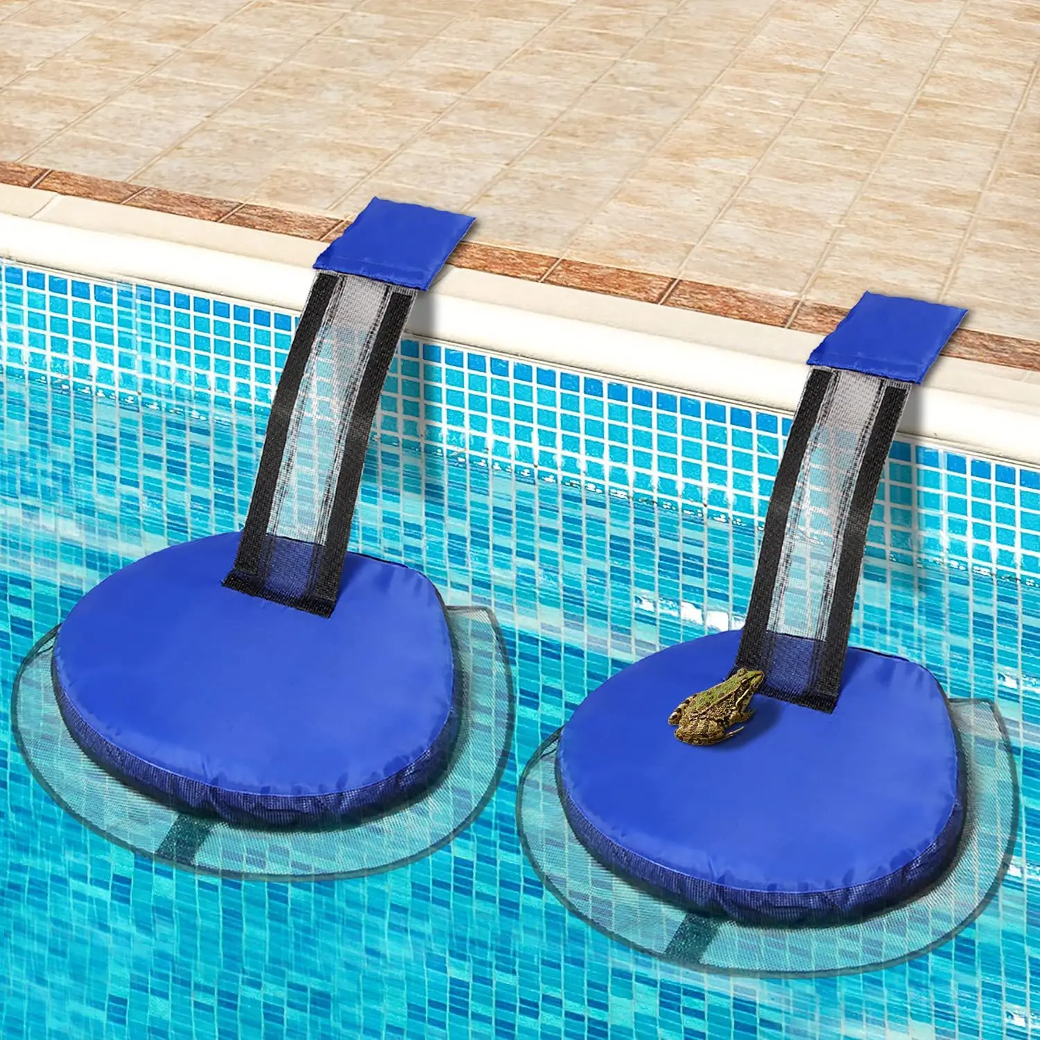 Swimming Pool Small Animal Escape Net Frog Bird Squirrel Escape Net Animal Outdoor Escape Rescue Channel
Swimming Pool Small Animal Escape Net Frog Bird Squirrel Escape Net Animal Outdoor Escape Rescue Channel