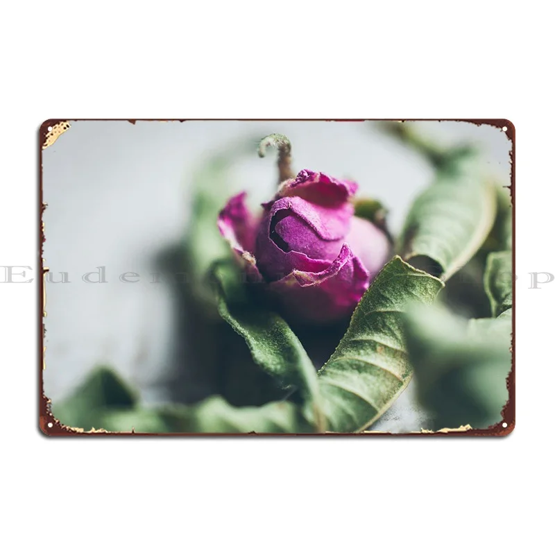 Dried Rose Metal Sign Character Bar Living Room Wall Pub Garage Tin Sign Poster
Dried Rose Metal Sign Character Bar Living Room Wall Pub Garage Tin Sign Poster