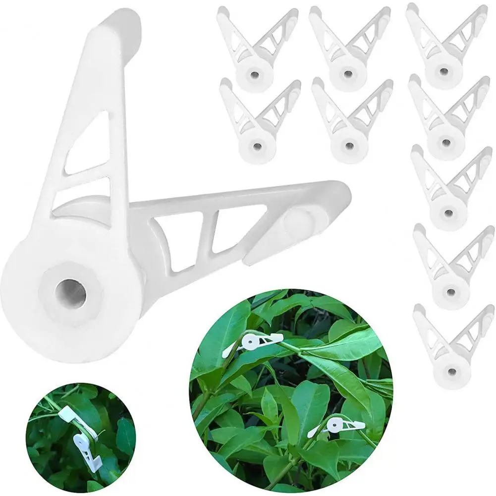 10Pcs Reusable Practical Waterproof 360 Degree Planting Trainer Low Stress Control Benders Plant Bender for Garden
10Pcs Reusable Practical Waterproof 360 Degree Planting Trainer Low Stress Control Benders Plant Bender for Garden