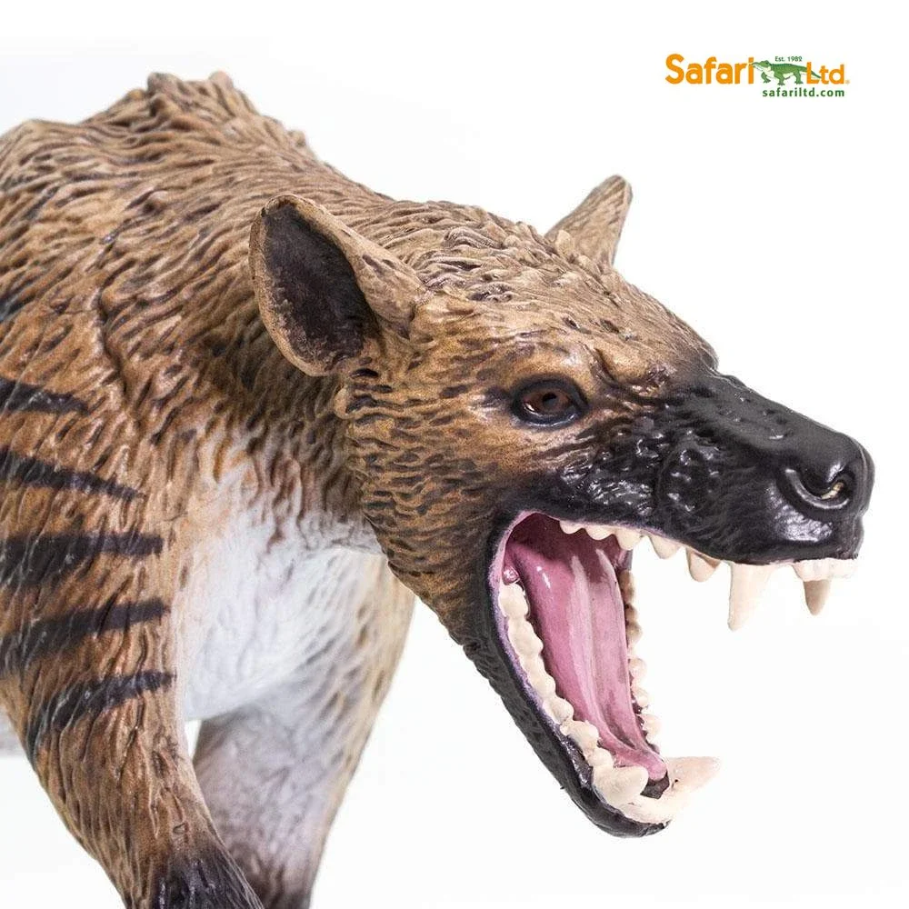 Модель доисторических животных Hyaenodon, Классические игрушки для мальчиков
Модель доисторических животных Hyaenodon, Классические игрушки для мальчиков