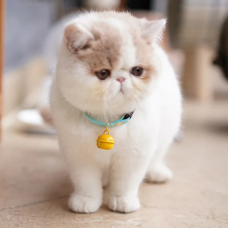 Pet Cat Collar with Bell Kitten Puppy Adjustable Necklace Whit Safety Buckle Cartoon Cute Tie with Hollow Flower Pet Accessories
Pet Cat Collar with Bell Kitten Puppy Adjustable Necklace Whit Safety Buckle Cartoon Cute Tie with Hollow Flower Pet Accessories