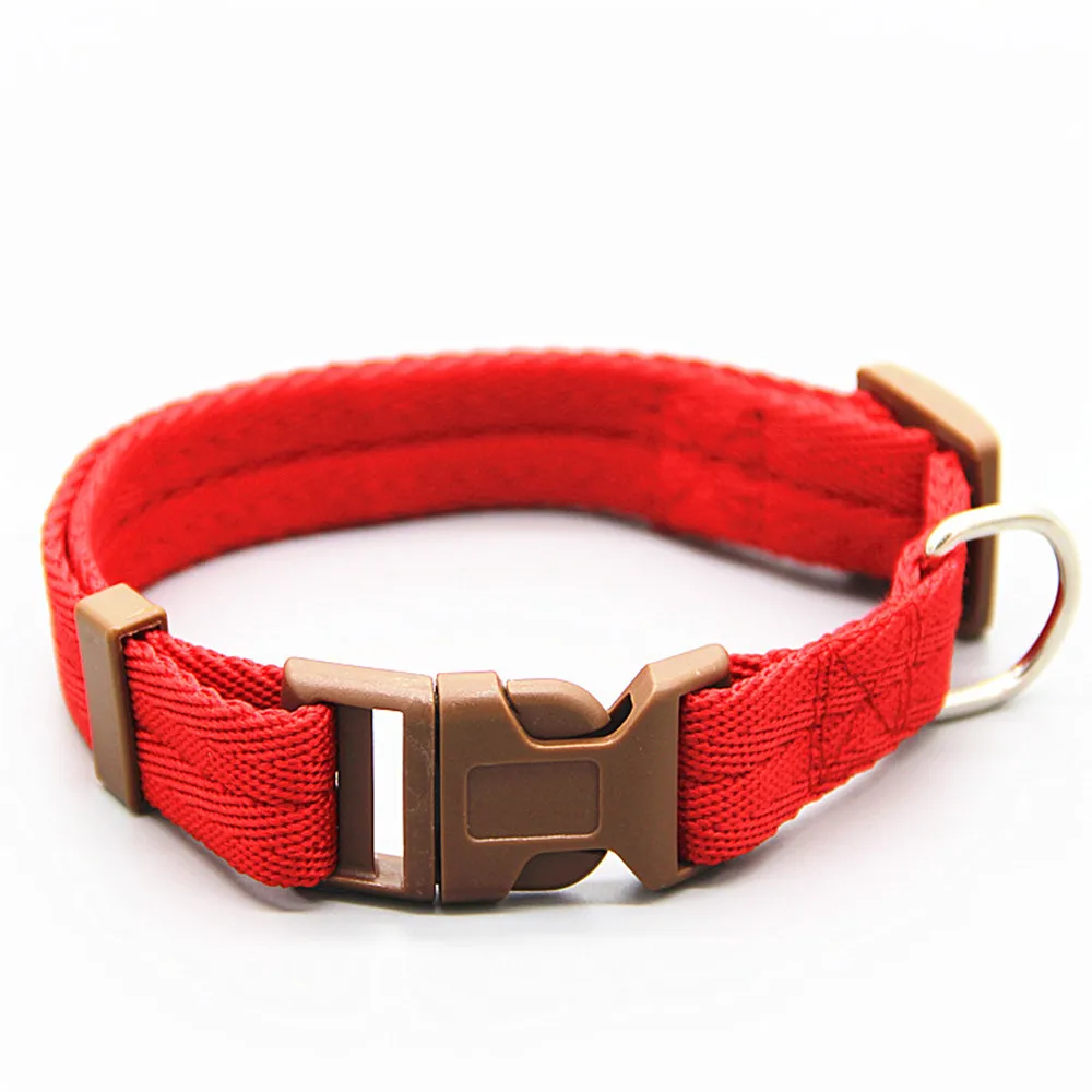 Dog foam chest and back with foam handle pet traction rope walking rope dog collar traction rope chest and back suit
Dog foam chest and back with foam handle pet traction rope walking rope dog collar traction rope chest and back suit