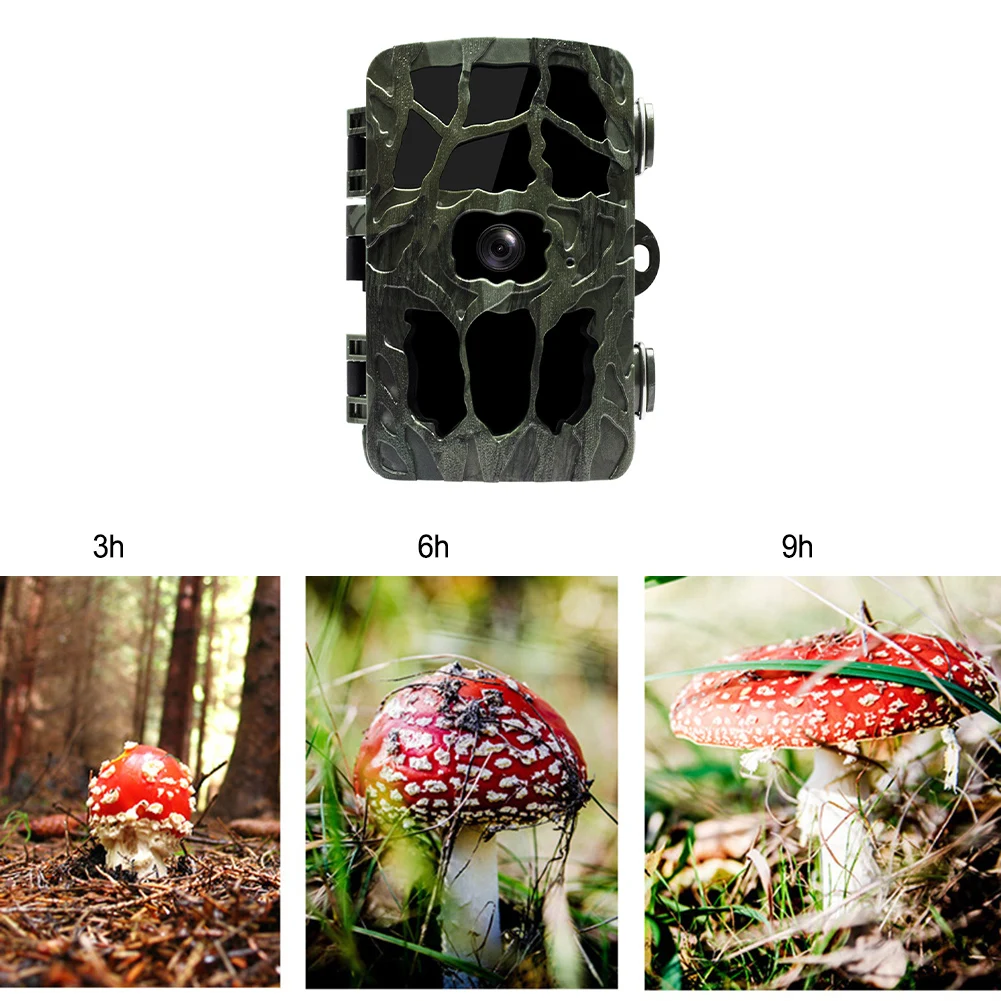 Outdoor Camera Outdoor Camera Trail Waterproof With Night Vision High-definition Pixel Infrared Lights Ip66 Camera
Outdoor Camera Outdoor Camera Trail Waterproof With Night Vision High-definition Pixel Infrared Lights Ip66 Camera