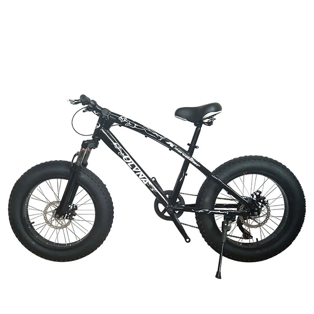

20 Inch 7 Speed Bicycle Widened Tires Carbon Steel Dual Disc Brakes Suitable For Heights Of 140 To 170cm Load 150kg Beach Snow