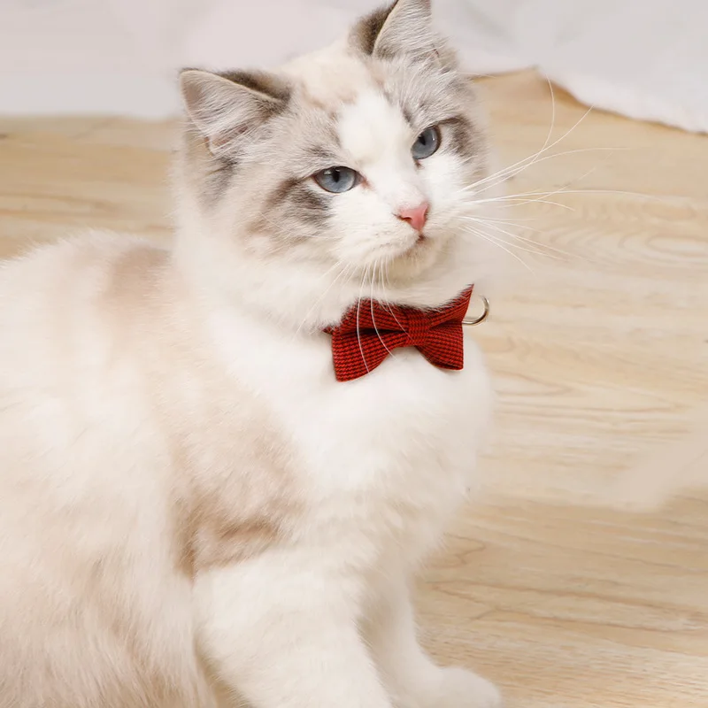 Cute Cat Collar Cat Collar Cat Neck Sleeve Small Dog British Style Bow Knot Pet Collar for Cat Kitten Collar Small Dog Accessory
Cute Cat Collar Cat Collar Cat Neck Sleeve Small Dog British Style Bow Knot Pet Collar for Cat Kitten Collar Small Dog Accessory