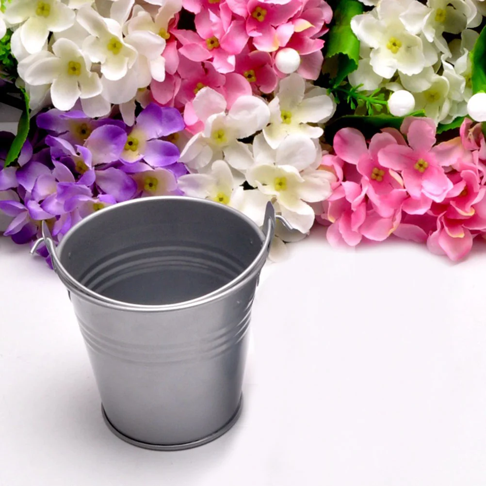 Mini Metal Bucket Tin Buckets Pail Wedding Succulent Favor Boxes Fries French Pails Pot Ice Flower Colored Party Pots Box Candy
Mini Metal Bucket Tin Buckets Pail Wedding Succulent Favor Boxes Fries French Pails Pot Ice Flower Colored Party Pots Box Candy