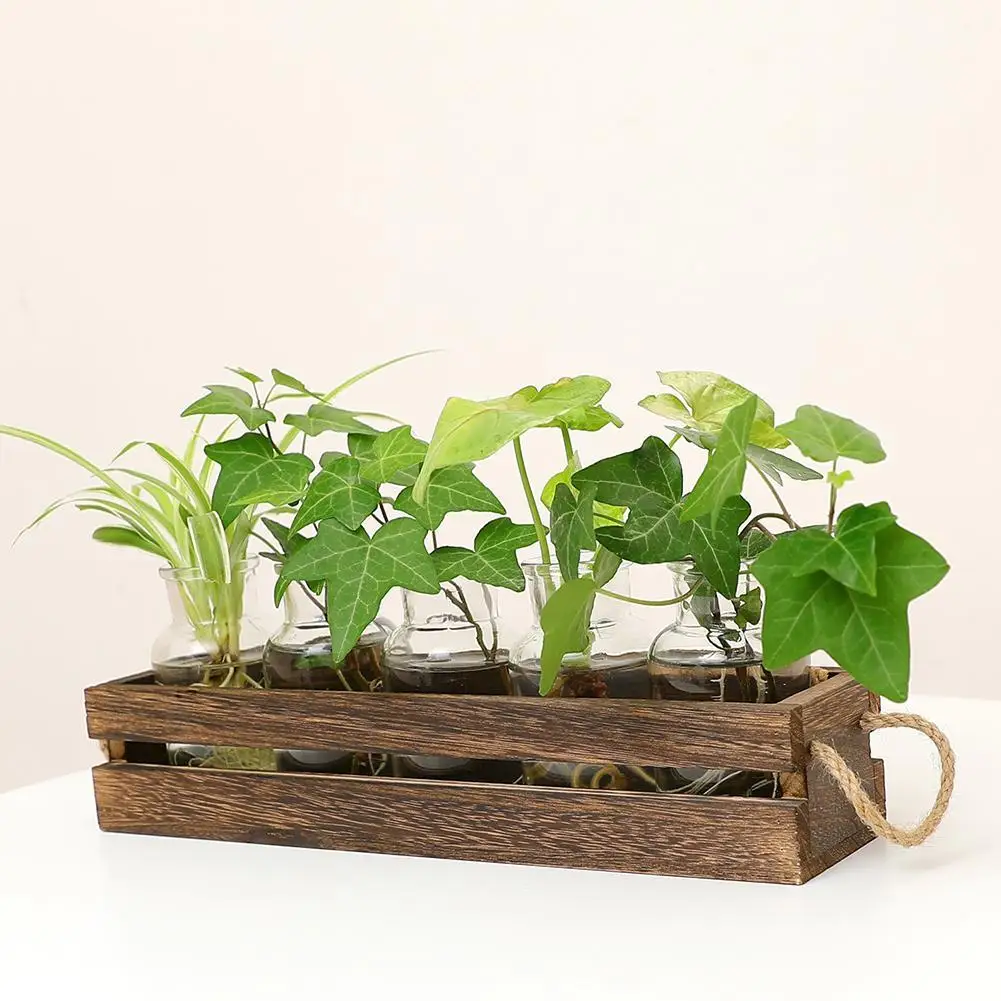 Glass Wood Vase Creative Hydroponic Plant Wooden Frame Vases Bonsai Transparent Vase Tabletop Plant Home Decoration Accessories
Glass Wood Vase Creative Hydroponic Plant Wooden Frame Vases Bonsai Transparent Vase Tabletop Plant Home Decoration Accessories