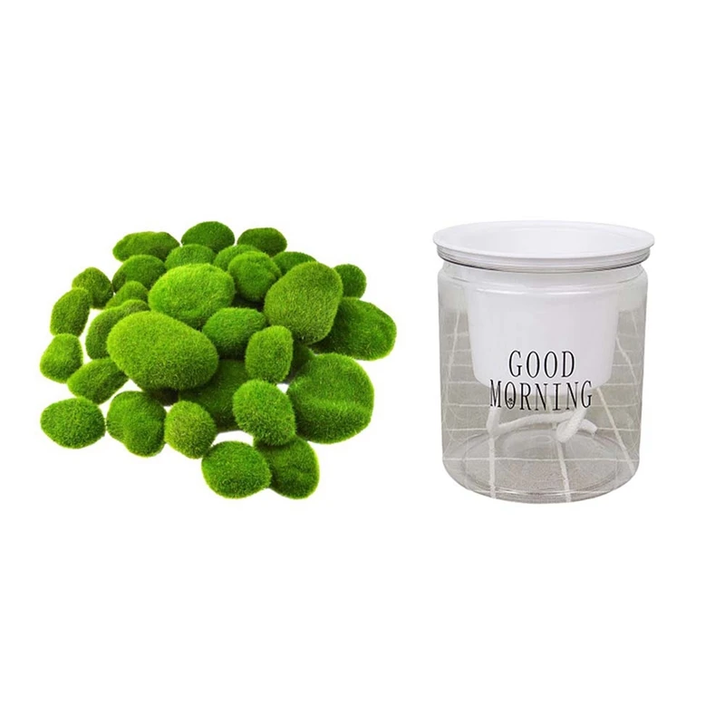 1X Self-Watering Flowerpot Automatic Water Absorption Succulent & 32PCS 5 Size Artificial Moss Rocks Decorative
1X Self-Watering Flowerpot Automatic Water Absorption Succulent & 32PCS 5 Size Artificial Moss Rocks Decorative