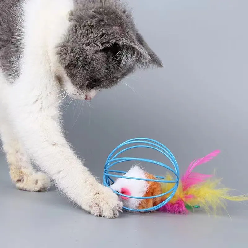 1pc Cat Toys Interactive Mouse Cage Toys Plastic Artificial Colorful Cat Teaser Toy Pet Supplies Cat Accessories Kitten Toy
1pc Cat Toys Interactive Mouse Cage Toys Plastic Artificial Colorful Cat Teaser Toy Pet Supplies Cat Accessories Kitten Toy