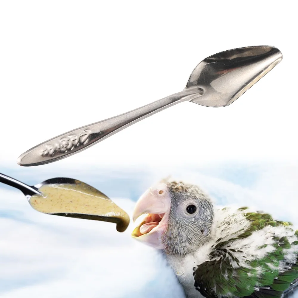 

Pets Birds Parrots Feeding Spoon Stainless Steel Water Milk Food Cockatiel Feeding Spoon Birds 5 Pcs/set
