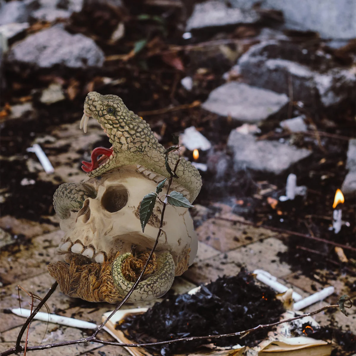 Skeleton Head Heads Hallowen Decorative Ornament Decoration Sculpture Centerpieces Tablefigurines Statue Scary Statues Snake
Skeleton Head Heads Hallowen Decorative Ornament Decoration Sculpture Centerpieces Tablefigurines Statue Scary Statues Snake