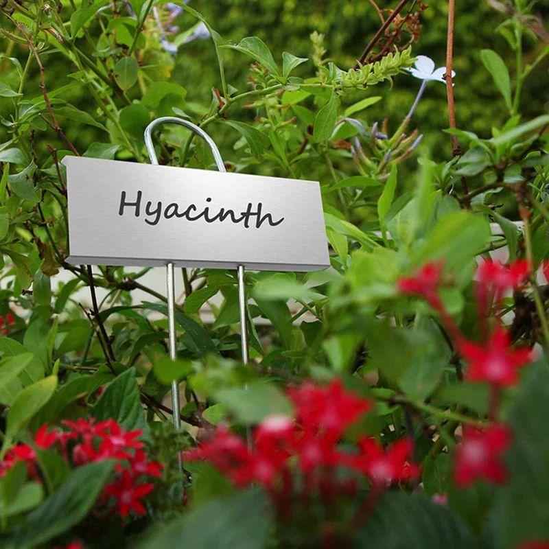 1Pcs Labeling plant signs Plants plugs plants plug-in labels Labeling Weatherproof for plants Potted herbs Vegetables Flowers
1Pcs Labeling plant signs Plants plugs plants plug-in labels Labeling Weatherproof for plants Potted herbs Vegetables Flowers