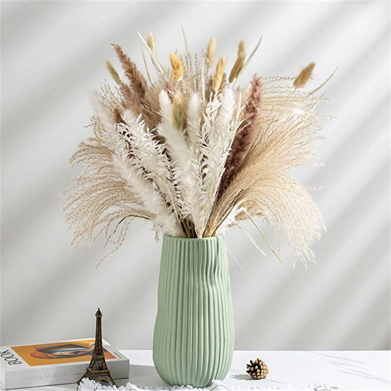 80Pcs Pampa Bunny Tail Kirin Grass Rich Leaves Italian Ruscus Natural Dried Flower Bouquet Arrangements For Backdrop Party Decor
80Pcs Pampa Bunny Tail Kirin Grass Rich Leaves Italian Ruscus Natural Dried Flower Bouquet Arrangements For Backdrop Party Decor