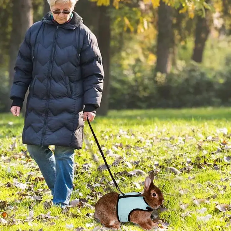 Portable Rabbit Harness And Leash Set Small Animal Soft Vest Harness And Leash Set For Bunny Rabbit Kitten Small Animal Walking
Portable Rabbit Harness And Leash Set Small Animal Soft Vest Harness And Leash Set For Bunny Rabbit Kitten Small Animal Walking