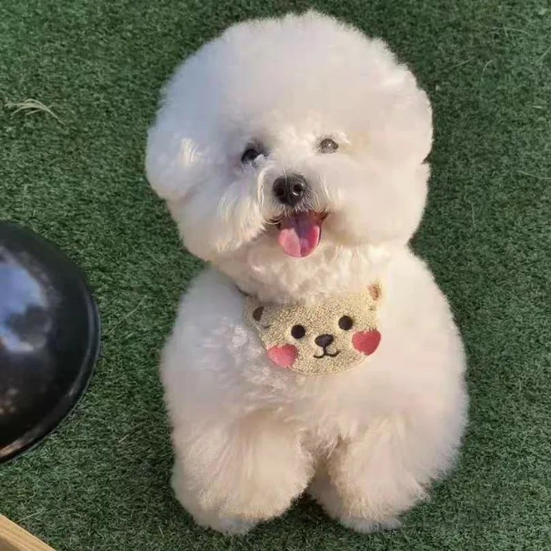 Small and medium-sized dogs and cats with saliva towels pet supplies cute brown bears white bears
Small and medium-sized dogs and cats with saliva towels pet supplies cute brown bears white bears