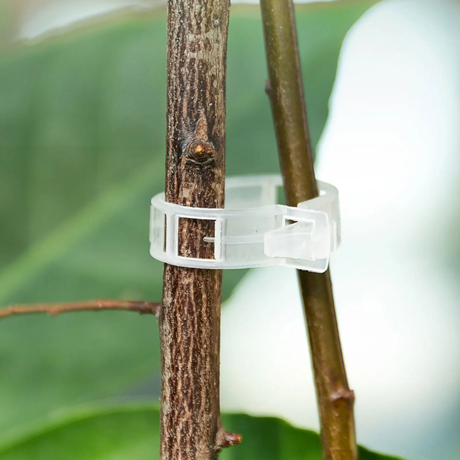 100pcs Plastic Plant Clips Supports Connects Reusable Protection Grafting Fixing Tool Gardening Supplies for Vegetable Tomato
100pcs Plastic Plant Clips Supports Connects Reusable Protection Grafting Fixing Tool Gardening Supplies for Vegetable Tomato