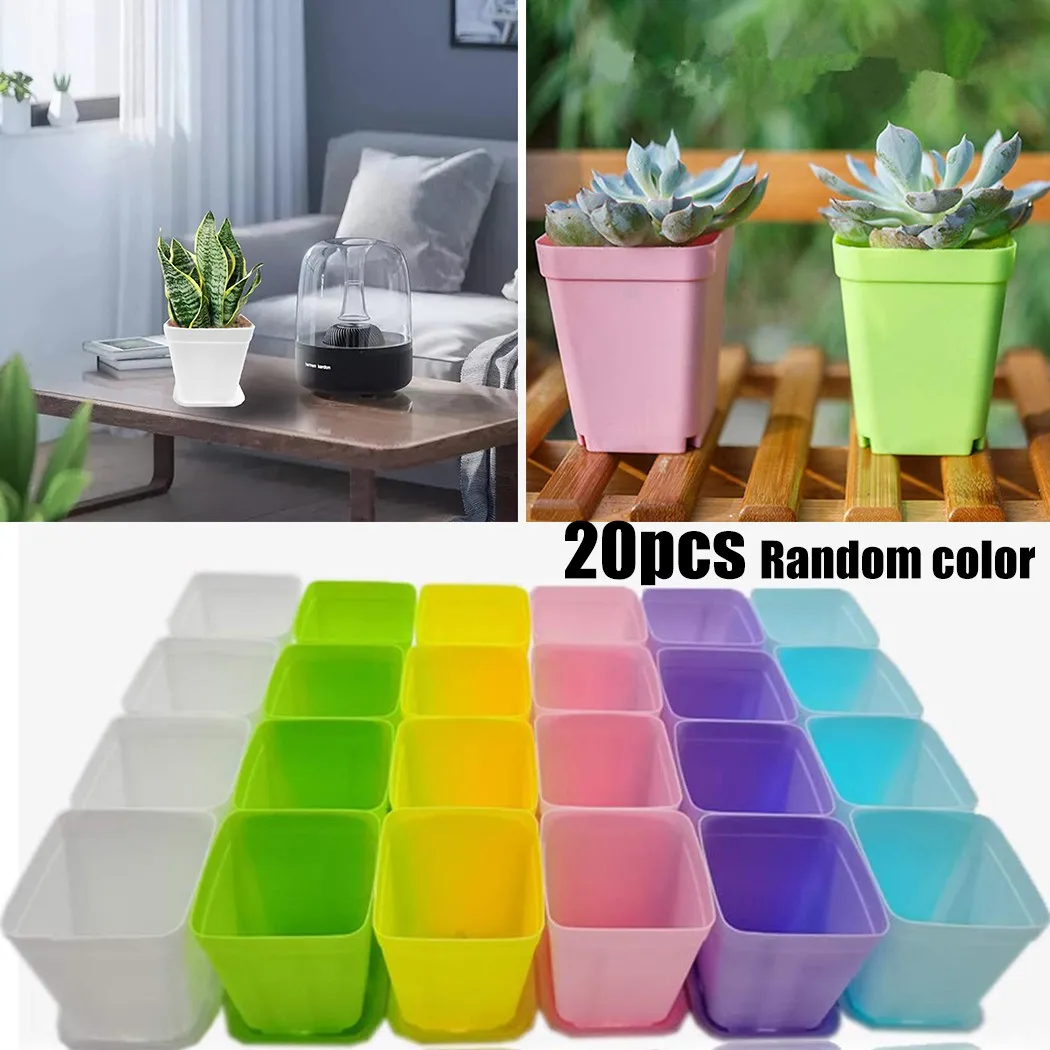 20pcs Mini Basin Square Flower Pot Succulent Plant Trays 5.5*5.5*4.5cm Color Mixing Home Office Decor DIY Garden Supplies
20pcs Mini Basin Square Flower Pot Succulent Plant Trays 5.5*5.5*4.5cm Color Mixing Home Office Decor DIY Garden Supplies