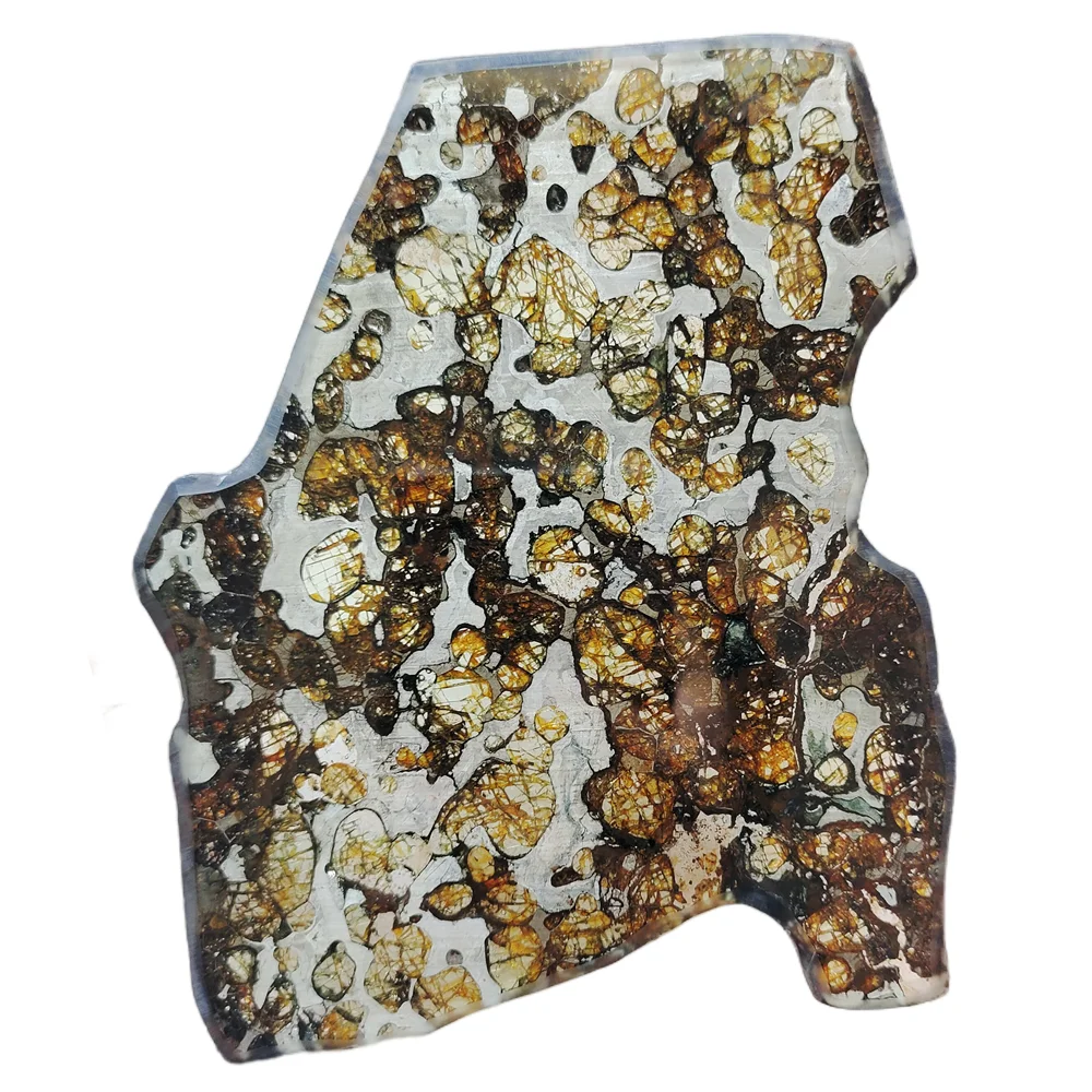 Brenham Olive Meteorite Slice Pallasite Olive Meteorite Specimen Natural Meteorite Material Specimen Collection
Brenham Olive Meteorite Slice Pallasite Olive Meteorite Specimen Natural Meteorite Material Specimen Collection