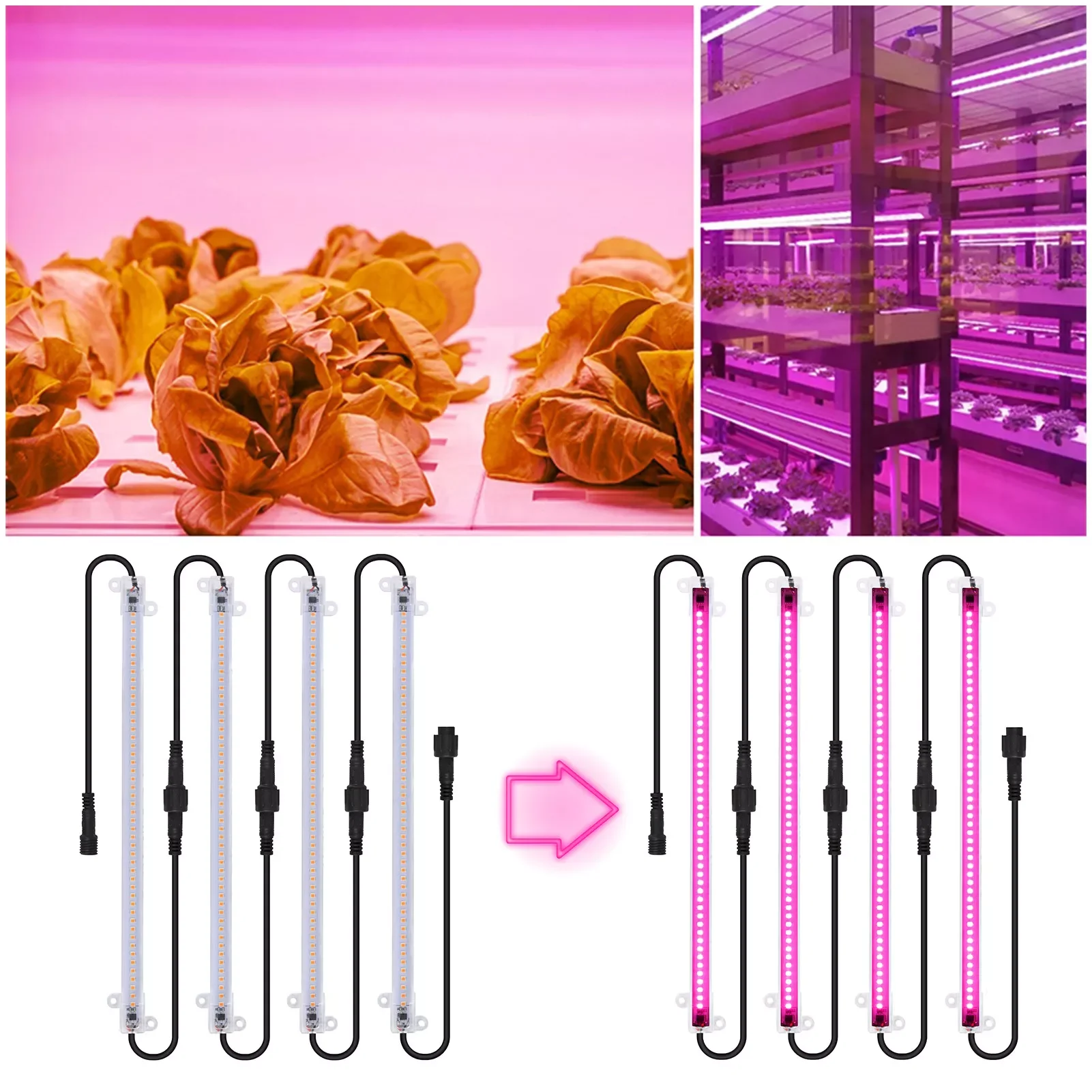 Лампы для роста растений, комнатные лампы полного спектра
Лампы для роста растений, комнатные лампы полного спектра