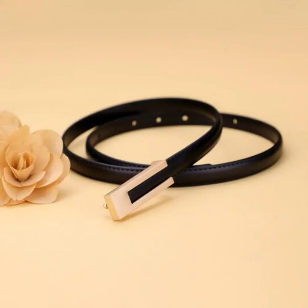 Lady Dress Belt Stainless Waistband Adjustable Metal Buckle Women Waist Strap Clothes Accessory
Lady Dress Belt Stainless Waistband Adjustable Metal Buckle Women Waist Strap Clothes Accessory