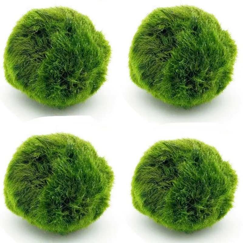1Pcs Artificial Decorative Balls for Fish Tank Water Grass Moss Live Aquarium Plant Aquatic Plant Ornament for Fish Tank
1Pcs Artificial Decorative Balls for Fish Tank Water Grass Moss Live Aquarium Plant Aquatic Plant Ornament for Fish Tank