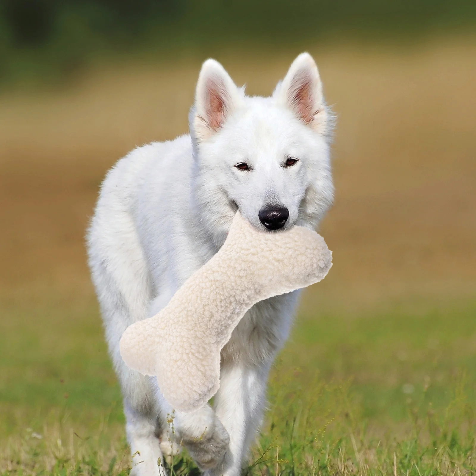 Dog Toys Large Dogs Puppies Playing Funny Small Squeaky Squeakers Interactive Puppy Chew
Dog Toys Large Dogs Puppies Playing Funny Small Squeaky Squeakers Interactive Puppy Chew