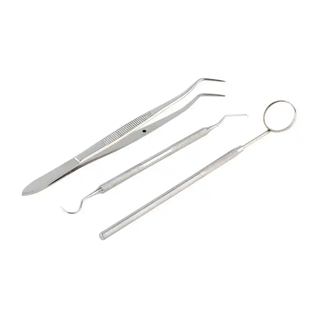 3pcs Dental Examination Kit Probe Set Hygiene Examination Cleaning Tools Stainless steel tooth cleaning tool
3pcs Dental Examination Kit Probe Set Hygiene Examination Cleaning Tools Stainless steel tooth cleaning tool