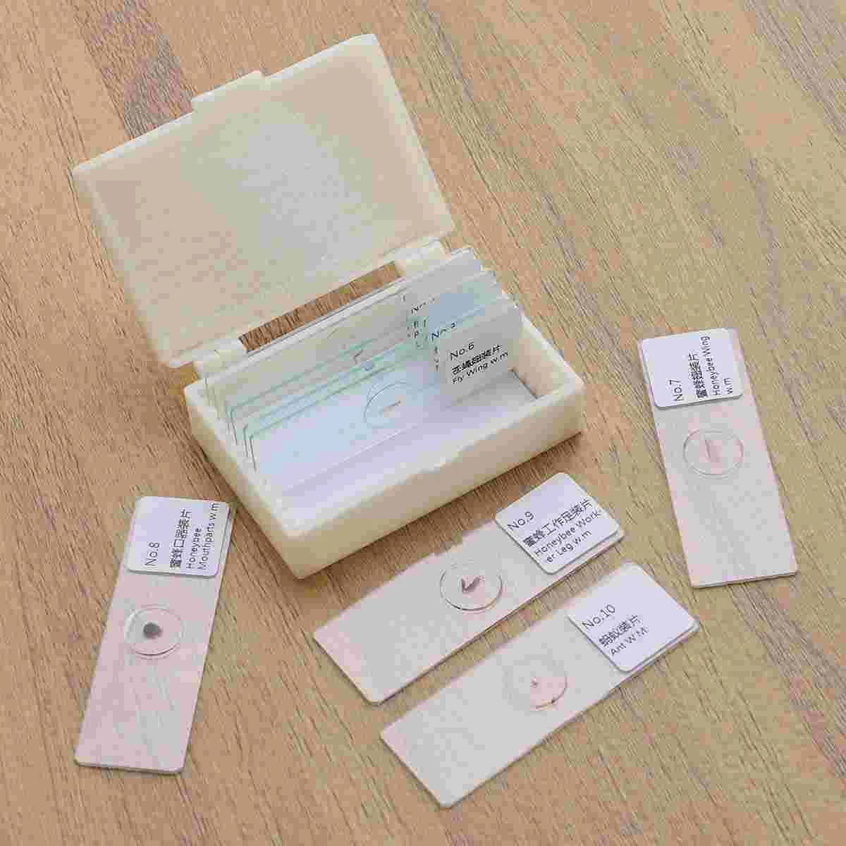 10 PCS/Set Microscope Slides Biology Prepared Glass Specimen Insect Specimens Sample
10 PCS/Set Microscope Slides Biology Prepared Glass Specimen Insect Specimens Sample