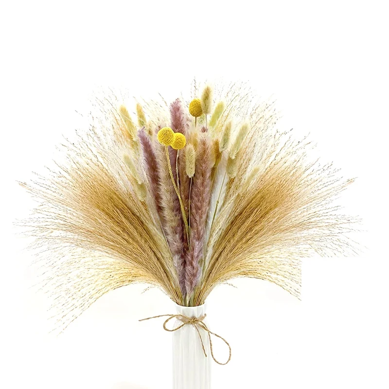 80 Pcs Dried Pampas Grass Bouquet,Natural Pompous Grass Boho Decor,Phragmites Dried Flowers,for Wedding Party Ornaments
80 Pcs Dried Pampas Grass Bouquet,Natural Pompous Grass Boho Decor,Phragmites Dried Flowers,for Wedding Party Ornaments