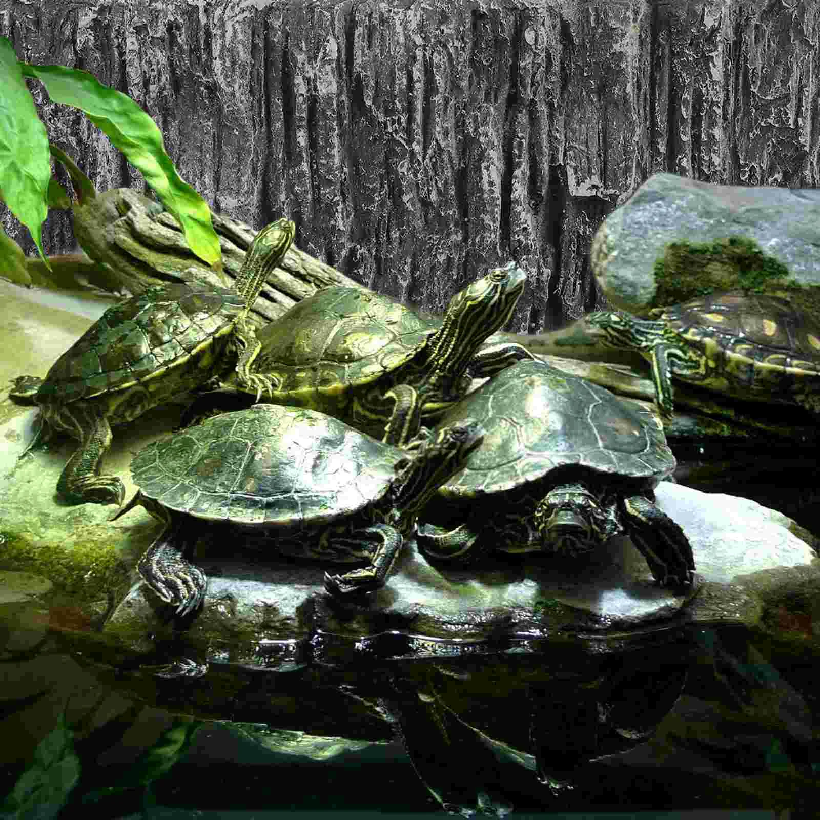 Background Rock Slab Aquarium Tank Board Fish Boards Decorative Reptile Backgrounds
Background Rock Slab Aquarium Tank Board Fish Boards Decorative Reptile Backgrounds