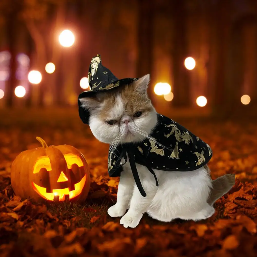 Женская летучая мышь для домашних животных, летучая мышь из полиэстера 
Женская летучая мышь для домашних животных, летучая мышь из полиэстера