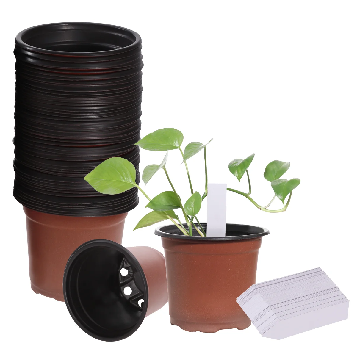 Planter Nursery Pots 25 Gallon Container Flower Pots Pots Nursery Pot 10 Gallon Pot
Planter Nursery Pots 25 Gallon Container Flower Pots Pots Nursery Pot 10 Gallon Pot