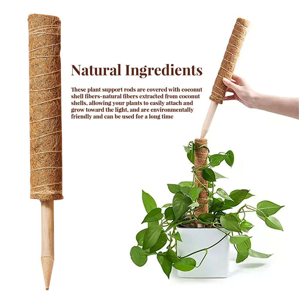 Coconut Palm Plants Growing Support Pole Green Leaf Stake Stable Tough Stick Tags Clips Gardening Supplies Indoor Yard
Coconut Palm Plants Growing Support Pole Green Leaf Stake Stable Tough Stick Tags Clips Gardening Supplies Indoor Yard