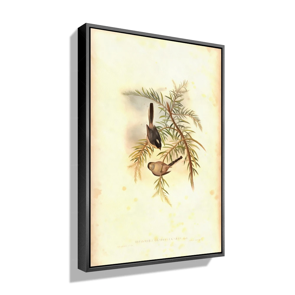 ForBeauty Современная птица абстрактное искусство холст живопись для домашнего декора стен
ForBeauty Современная птица абстрактное искусство холст живопись для домашнего декора стен