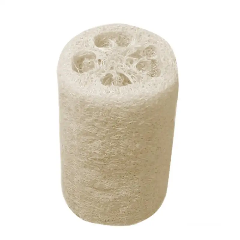 Loofah Sponge Natural Egyptian Organic Loofah Sponge Organic Luffa Bath Shower Sponge Exfoliator Scrubber For Men Women Adults
Loofah Sponge Natural Egyptian Organic Loofah Sponge Organic Luffa Bath Shower Sponge Exfoliator Scrubber For Men Women Adults