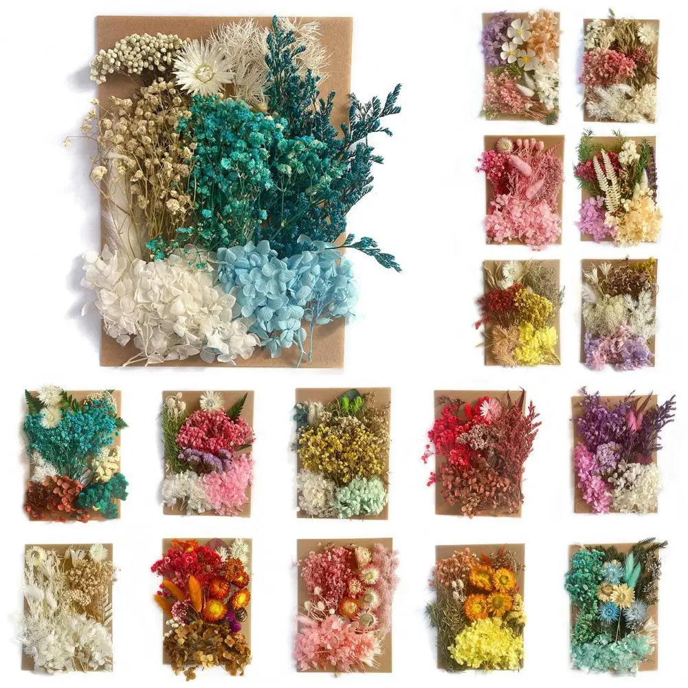 Hot Sales 1 Bag Dried Preserved Flower Eye-catching Bright Color Easy to Maintain Photography Props Art Dried Flower Home Decor
Hot Sales 1 Bag Dried Preserved Flower Eye-catching Bright Color Easy to Maintain Photography Props Art Dried Flower Home Decor
