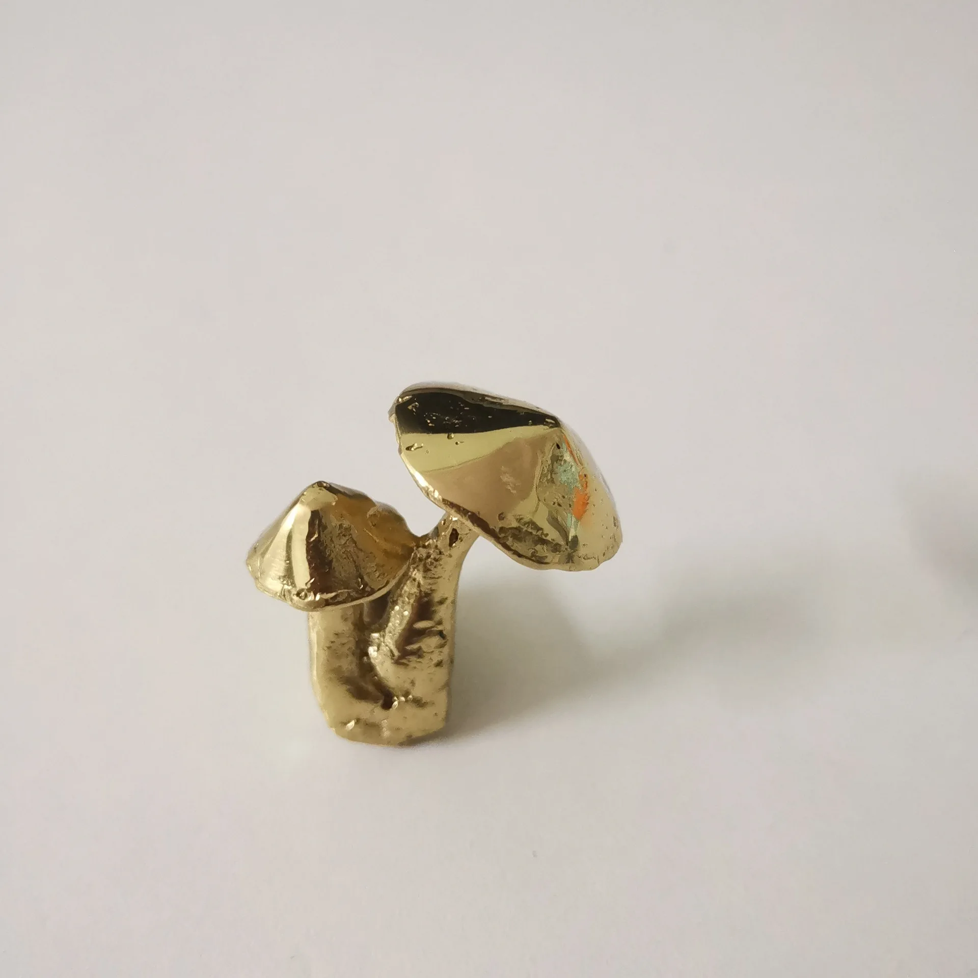 Ручки для мебели из латуни с золотыми грибами
Ручки для мебели из латуни с золотыми грибами