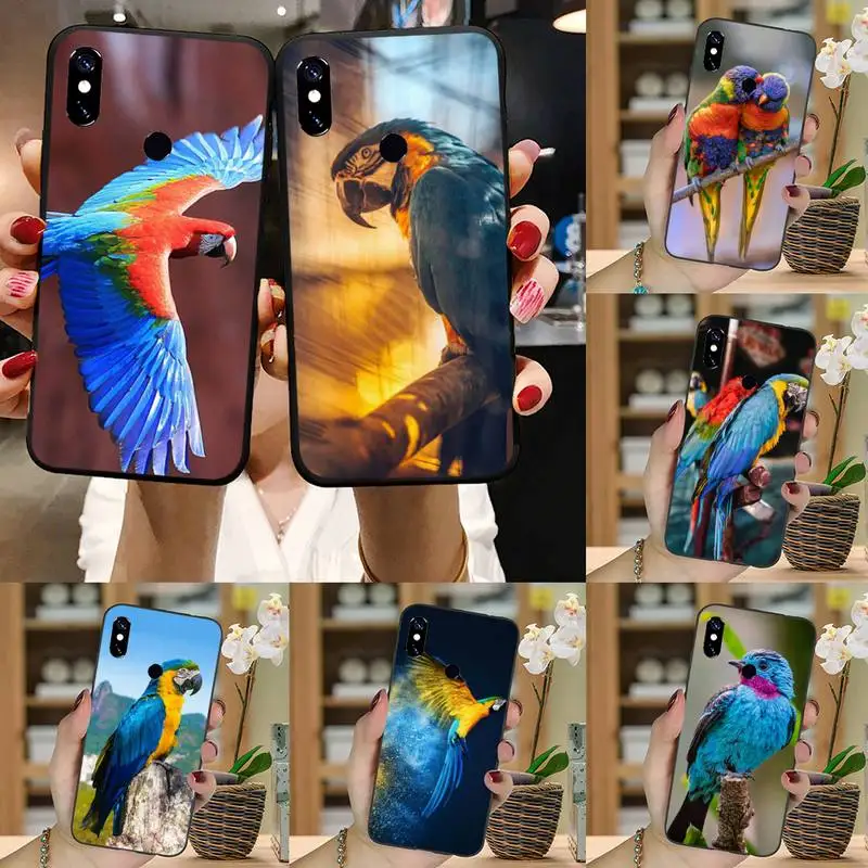 Parrot cute coloful bird animal Phone Case For Xiaomi Redmi note 7 8 9 11 t s 10 A pro lite funda shell coque cover
Parrot cute coloful bird animal Phone Case For Xiaomi Redmi note 7 8 9 11 t s 10 A pro lite funda shell coque cover
