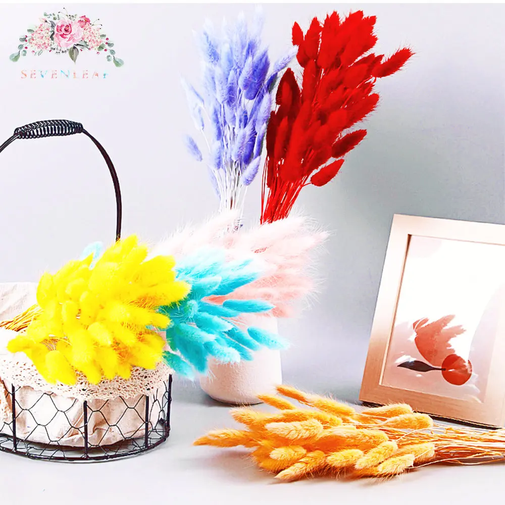 50Pcs Colorful Natural Dried Flower Rabbit Tail Bouquets Shooting Props Garden Decor Bohemian Chic Wedding Deco Home Decoration
50Pcs Colorful Natural Dried Flower Rabbit Tail Bouquets Shooting Props Garden Decor Bohemian Chic Wedding Deco Home Decoration