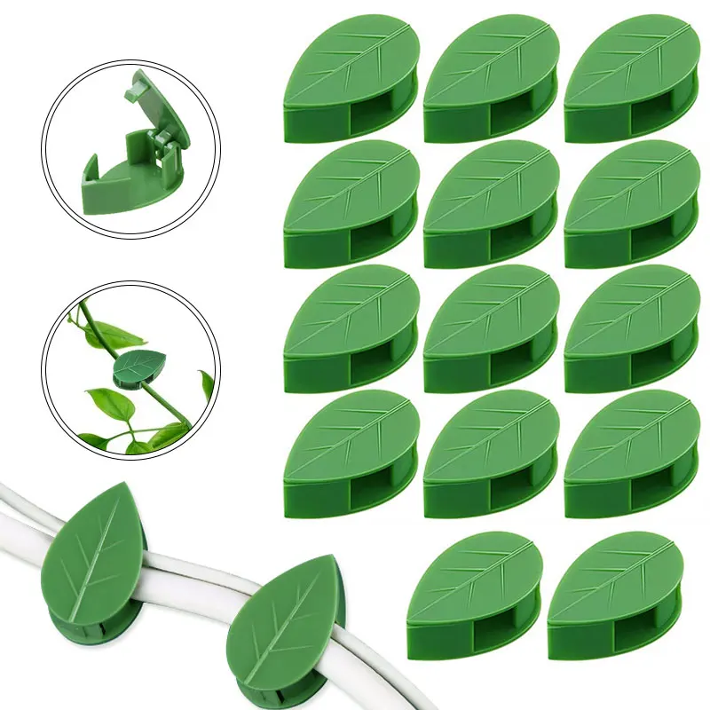 New Sale Invisible Plant Climbing Wall Fixture Rattan Vine Bracket Fixed Buckle Leaf Clips Traction Holder Garden
New Sale Invisible Plant Climbing Wall Fixture Rattan Vine Bracket Fixed Buckle Leaf Clips Traction Holder Garden