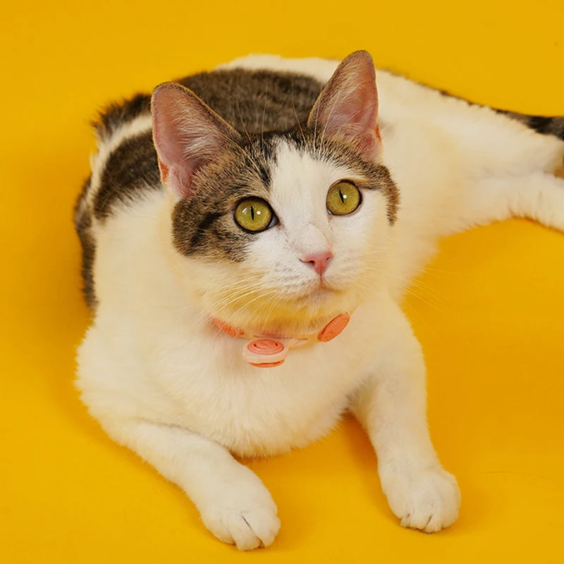 Pet Pest Control Collar Accessories Adjustable Insect Repellent Dog Collar Repeated Useable Fashion Cat Collar Necklace Products
Pet Pest Control Collar Accessories Adjustable Insect Repellent Dog Collar Repeated Useable Fashion Cat Collar Necklace Products