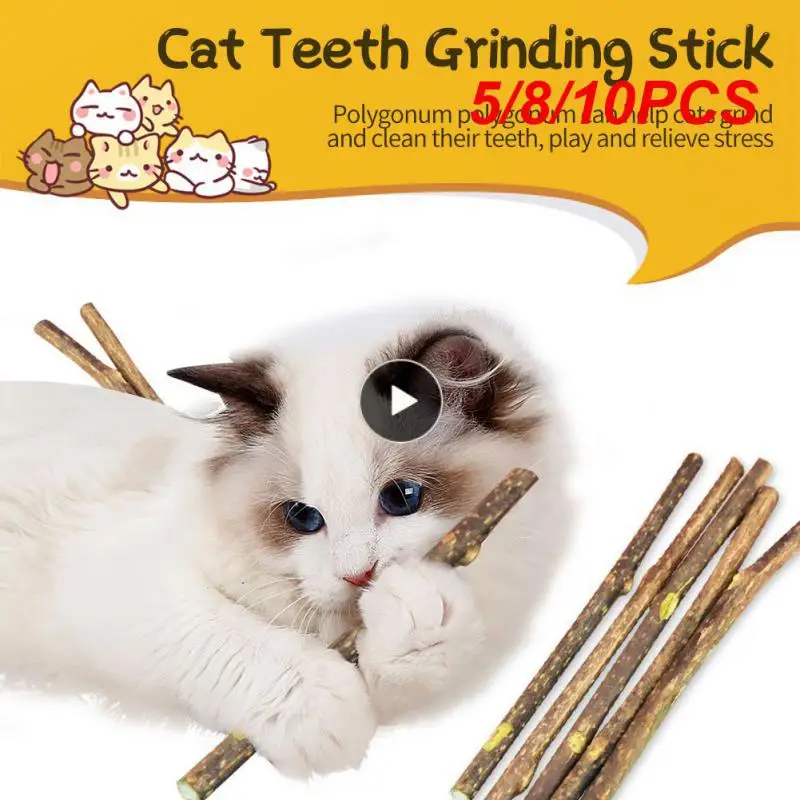5/8/10PCS Green Cats Chew Toys Clean Teeth Cat Molar Stick Improve Appetite Natural Plants Cat Snacks Sticks Pet Supplies Toys
5/8/10PCS Green Cats Chew Toys Clean Teeth Cat Molar Stick Improve Appetite Natural Plants Cat Snacks Sticks Pet Supplies Toys